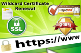 How to renew an existing SSL Wildcard Certificate with RapidSSLOnline